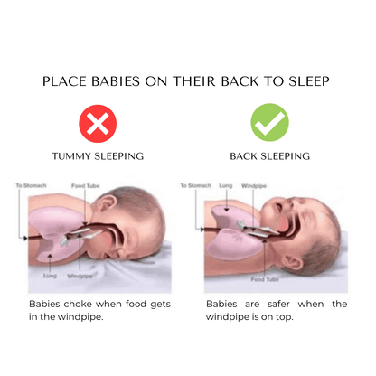 Bayline™ | Baby Steunkussen