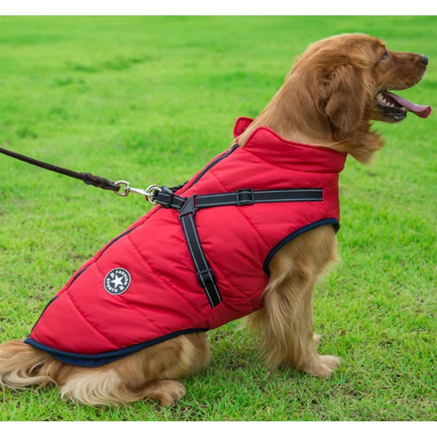 Bayline™ | Paw Huisdier 3 in 1 Jas