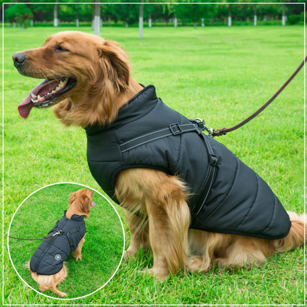 Bayline™ | Paw Huisdier 3 in 1 Jas