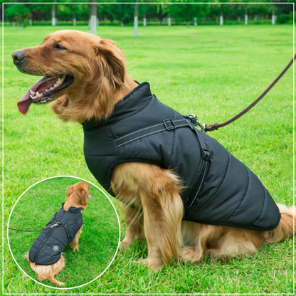 Bayline™ | Paw Huisdier 3 in 1 Jas