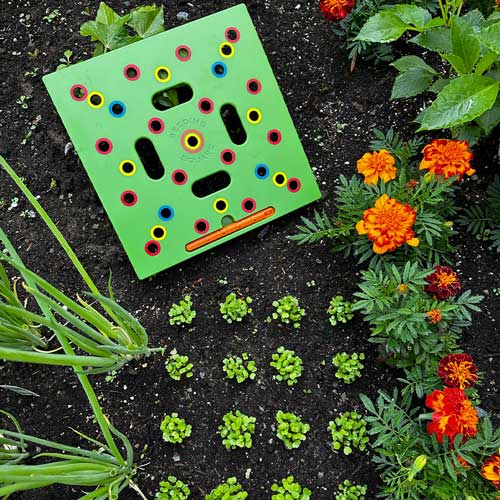 Bayline™ | Ultieme Tuinsjabloon