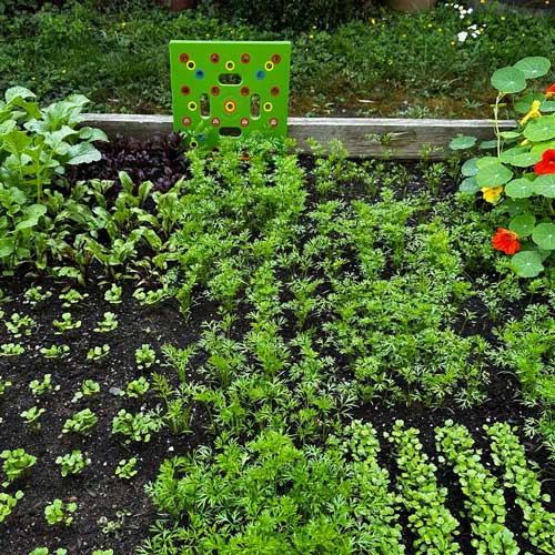 Bayline™ | Ultieme Tuinsjabloon