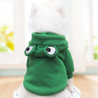Fruit huisdierenkleding voor honden en katten!