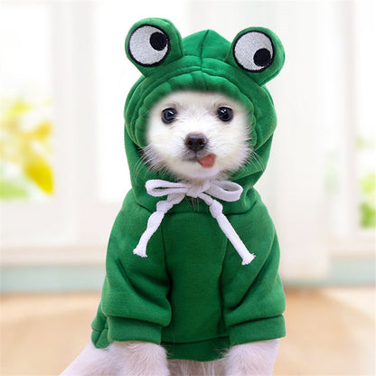 Fruit huisdierenkleding voor honden en katten!