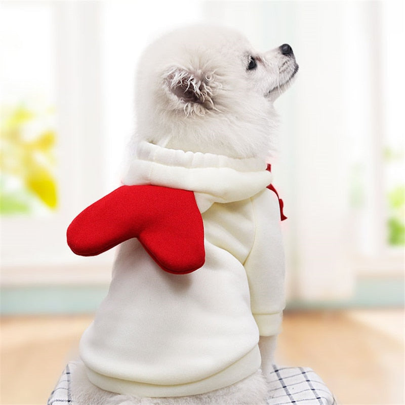 Fruit huisdierenkleding voor honden en katten!