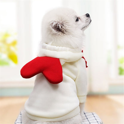 Fruit huisdierenkleding voor honden en katten!