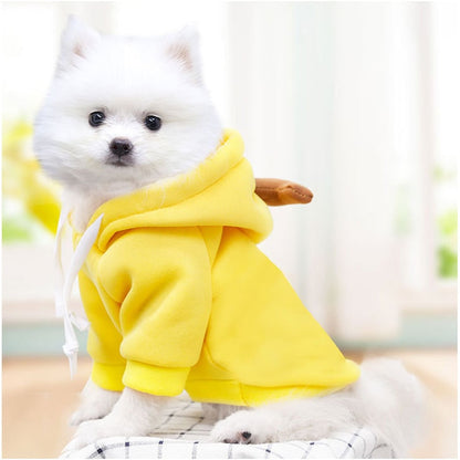 Fruit huisdierenkleding voor honden en katten!