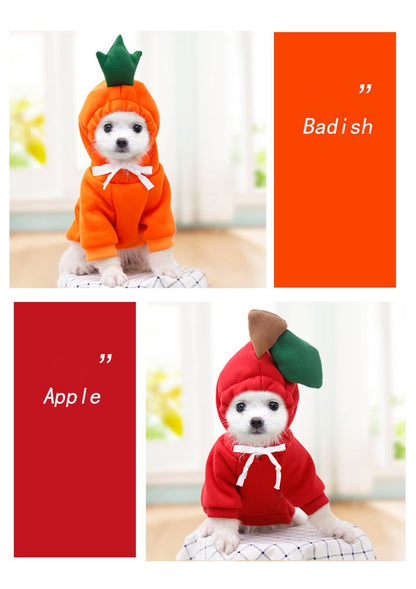 Fruit huisdierenkleding voor honden en katten!