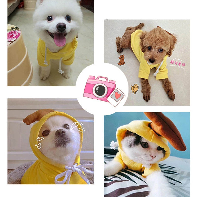 Fruit huisdierenkleding voor honden en katten!