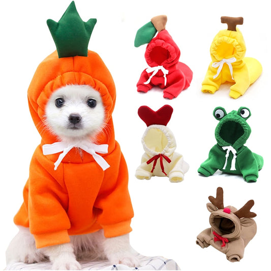 Fruit huisdierenkleding voor honden en katten!
