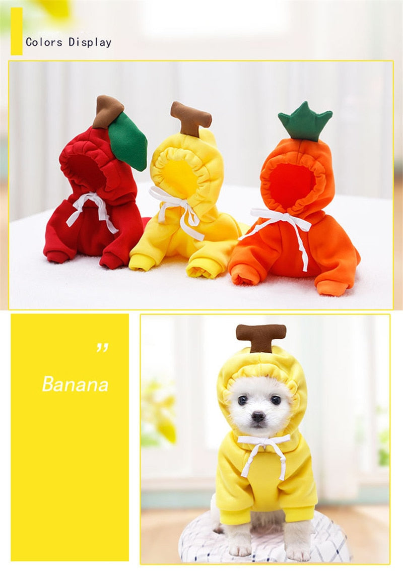 Fruit huisdierenkleding voor honden en katten!