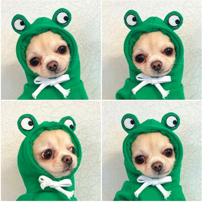 Fruit huisdierenkleding voor honden en katten!