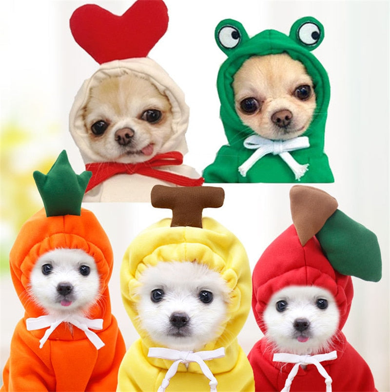 Fruit huisdierenkleding voor honden en katten!