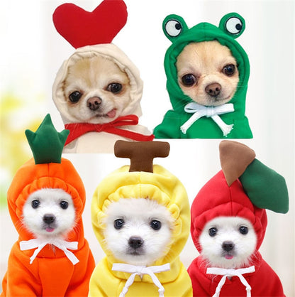 Fruit huisdierenkleding voor honden en katten!