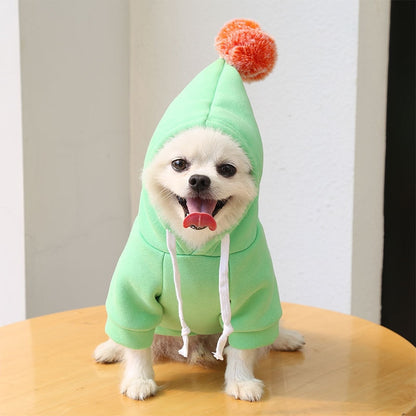 Fruit huisdierenkleding voor honden en katten!