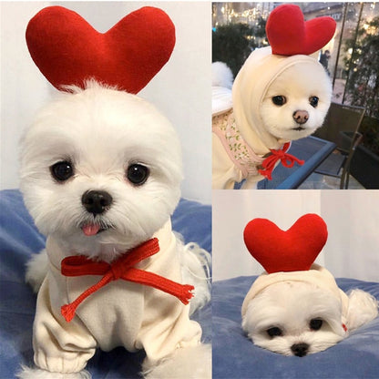 Fruit huisdierenkleding voor honden en katten!