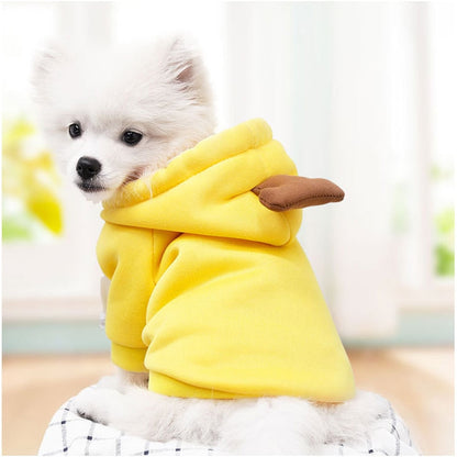 Fruit huisdierenkleding voor honden en katten!