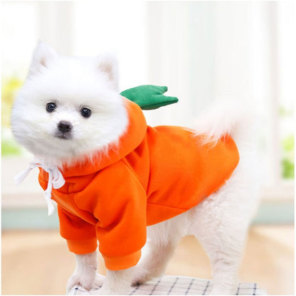 Fruit huisdierenkleding voor honden en katten!