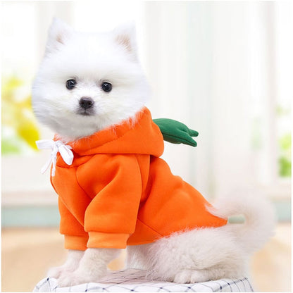 Fruit huisdierenkleding voor honden en katten!