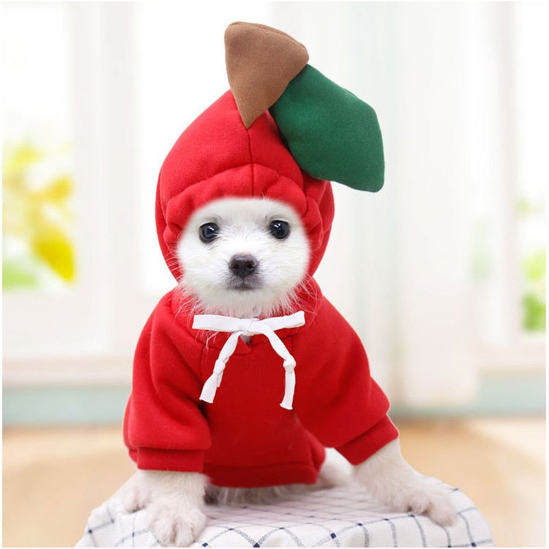 Fruit huisdierenkleding voor honden en katten!