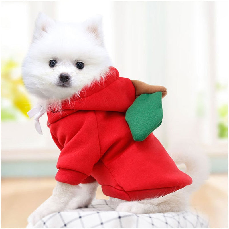 Fruit huisdierenkleding voor honden en katten!