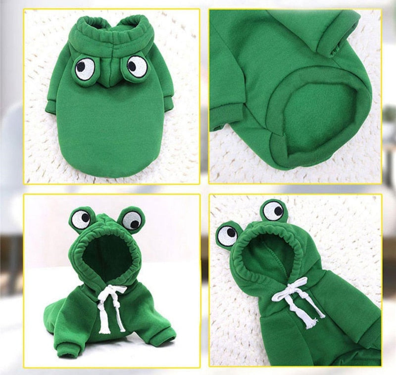 Fruit huisdierenkleding voor honden en katten!