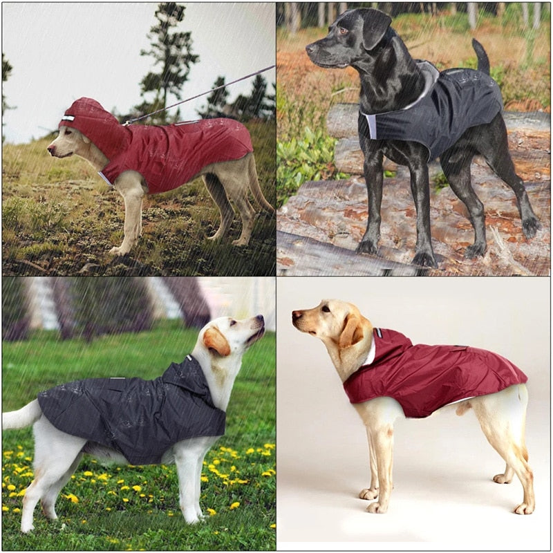 Waterdichte hondenponcho